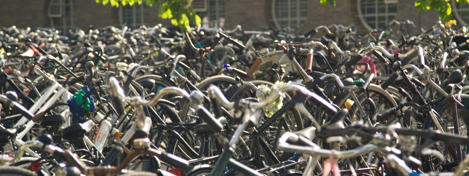many bikes